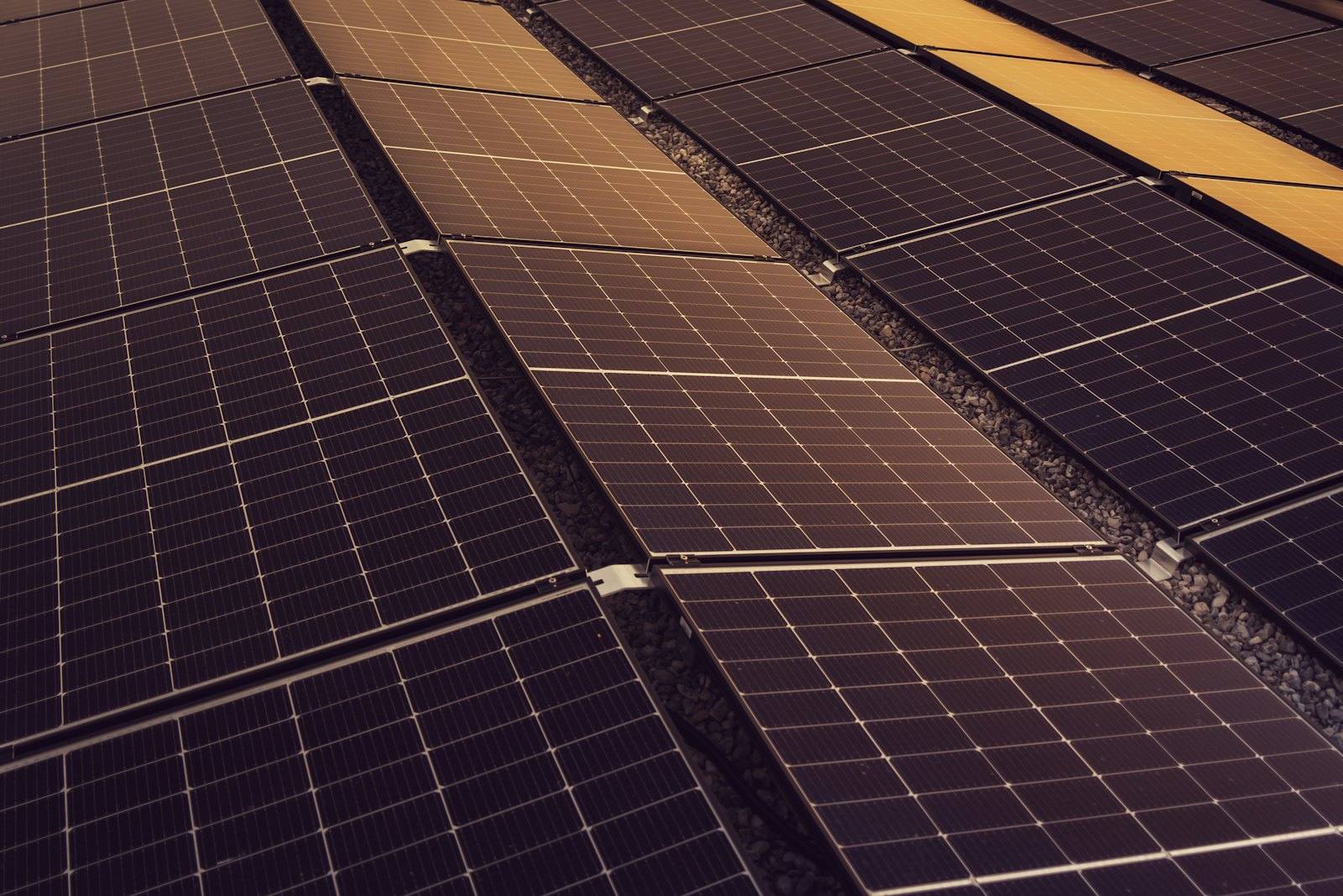 Rangées de panneaux photovoltaïques sur un toit plat